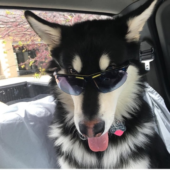 Seychelles Shoes - 75 FOLLOW ME ON INSTAGRAM! @Mindylovesaspen like this listing for live shows